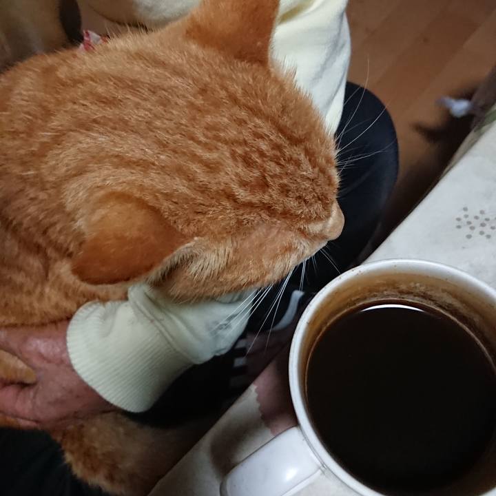 C7b9fbe2 4d9e 45c2 b7df 35feae0c57b8 1603484049467