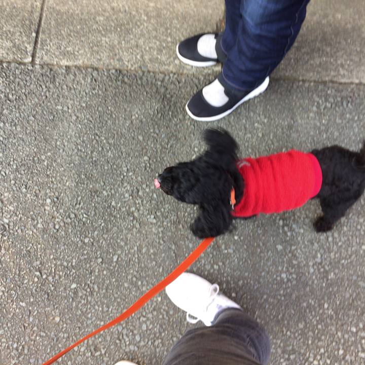 C7ba01a3 95e1 4d2f 8f42 ad88258c2028 1514096863322