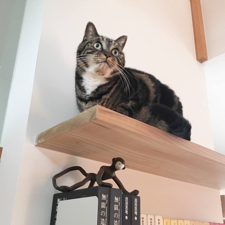 C7ba01b1 237b 4de7 b649 f428a4e153ef 1550534583350