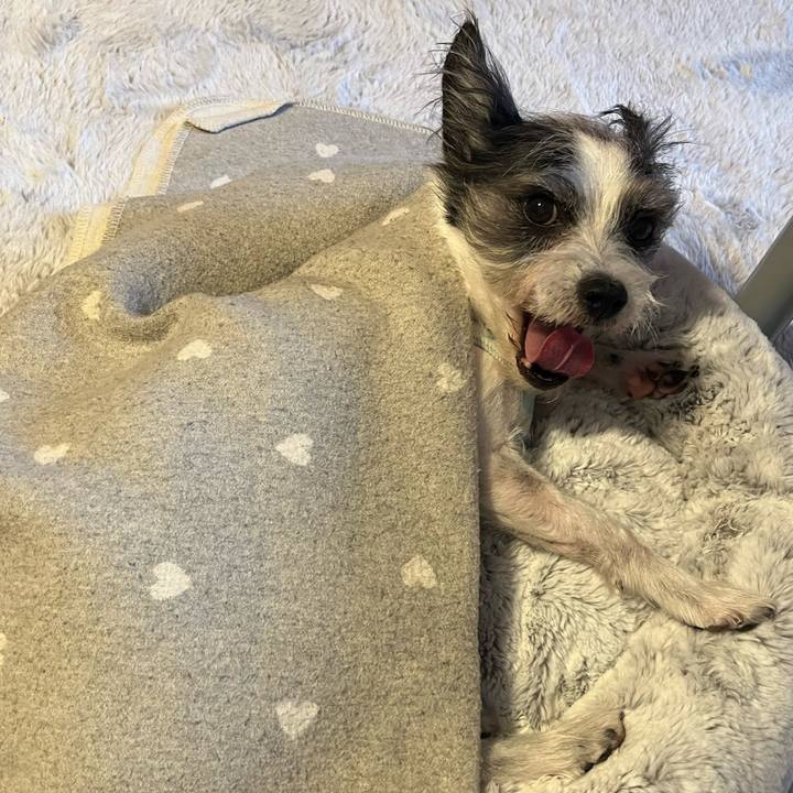 C7ba3b63 b423 4658 976f 6d1f8913d217 1764110429046