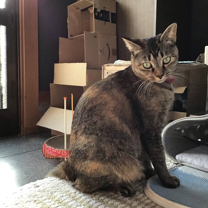 C7ba4148 3863 458d 8106 d0e016439961 1611983467014