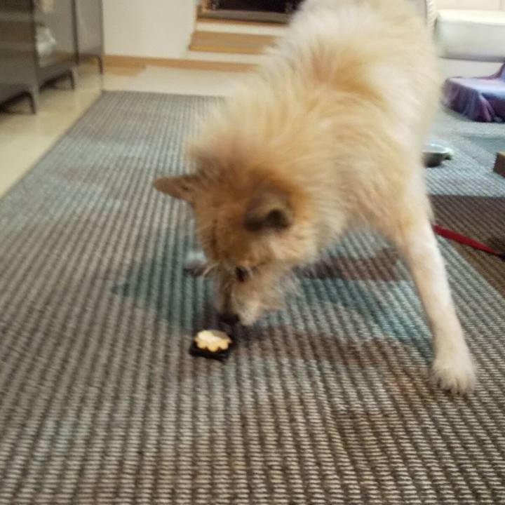 C7ba6d5d 8ba9 4f49 a444 e8f14ea269f9 1577282881713