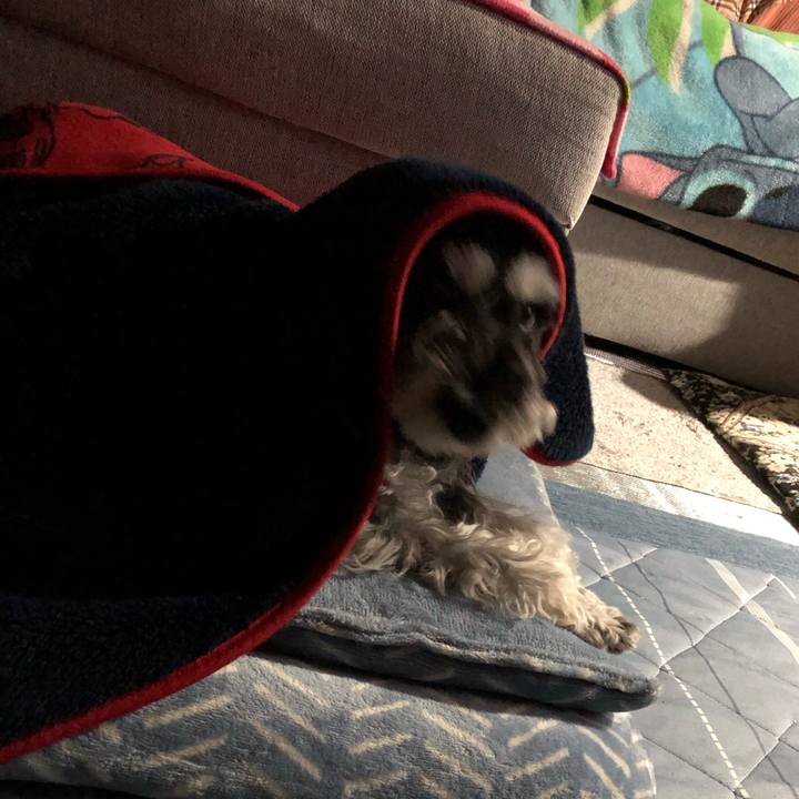 C7ba858e c84b 4150 9d02 7fca6adf9dd5 1699622130345