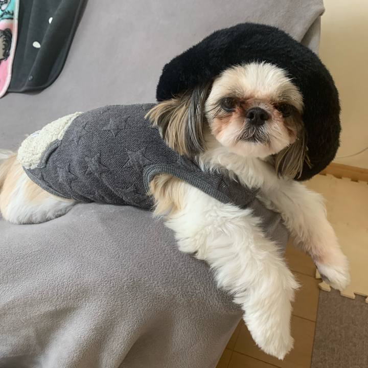 C7ba8cfd 31e8 4ade 83ea 6a7e09909205 1670046927634