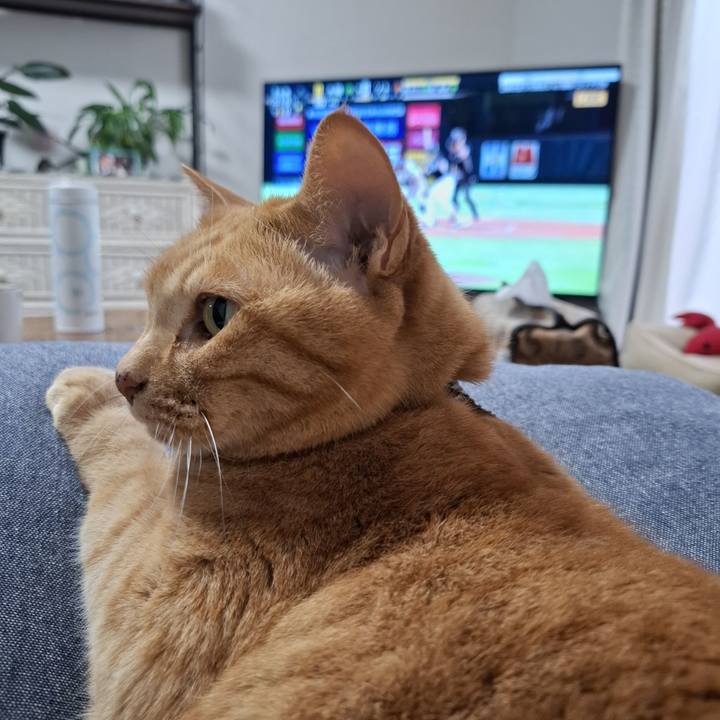 C7baced8 e1e8 49ed 9db3 16373dd4d776 1746249643519