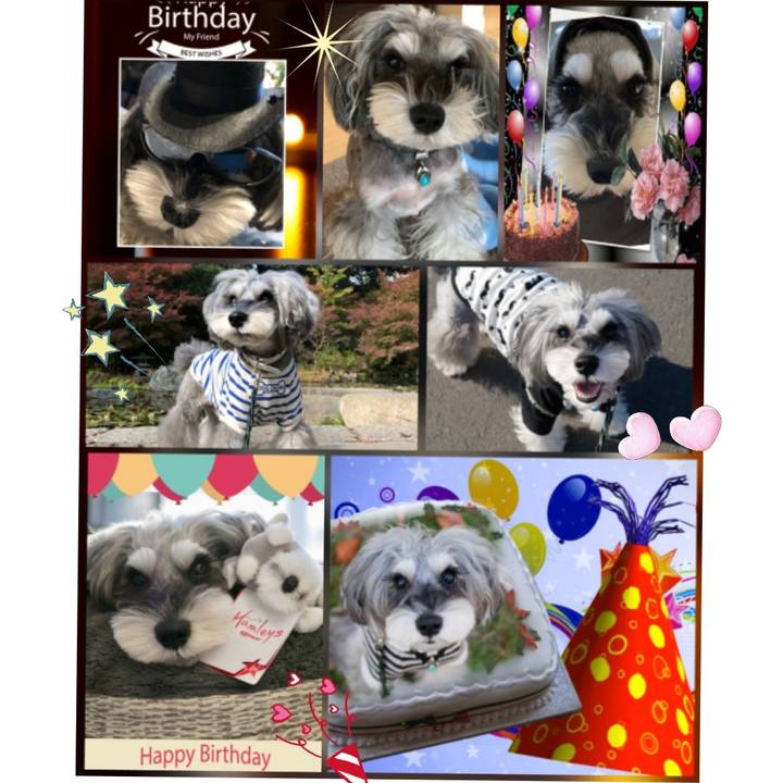 C7bad238 2e83 4c22 9d7e 89e35e5ba56b 1545055862711