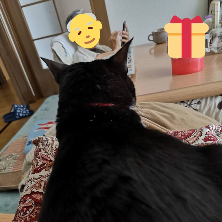 C7bad4ad 8d10 46bb 86c5 d748c9fefe05 1665549642107