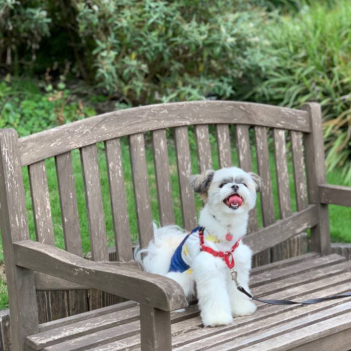 C7bb069b 0c2e 4c1d 810d cd390400e7ab 1604962495273