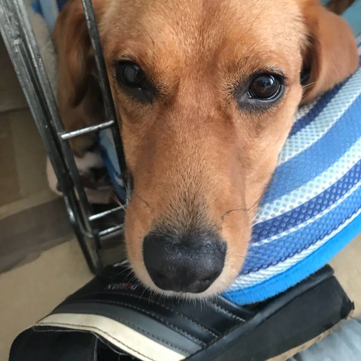 C7bbaf49 c830 4f6b b044 0dd5a9c826b8 1534979798972