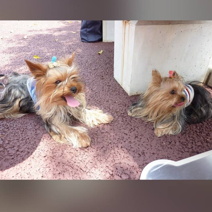 C7bbca85 3de2 4197 b783 7ecde9566dcf 1644392095460