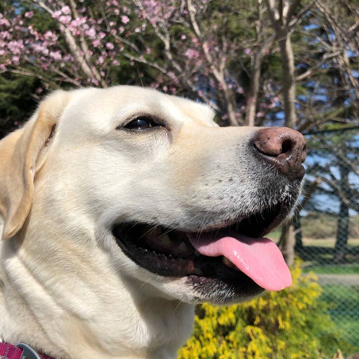 C7bc1246 3489 4663 9f2f f1184c46f017 1648687393088