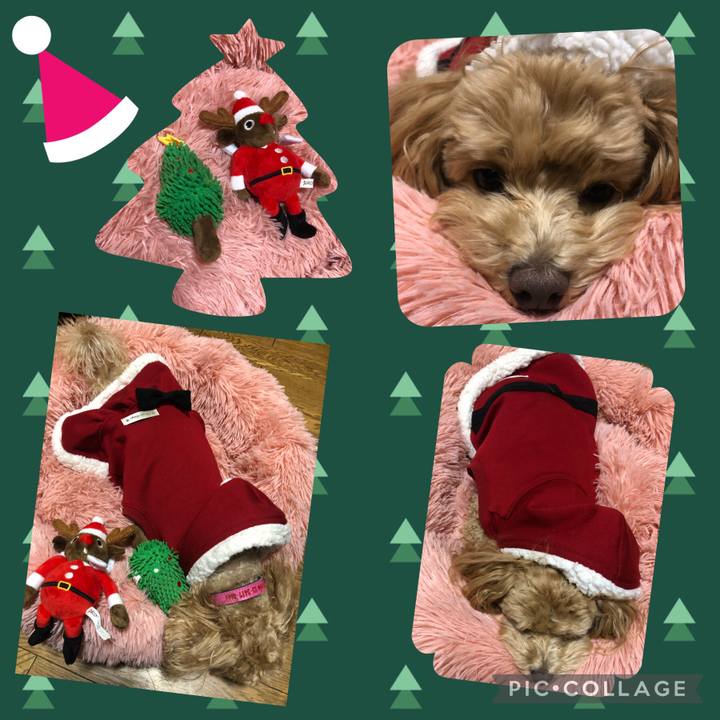 C7bc25c2 3a99 4df7 94a1 fb58745ff867 1640438804637