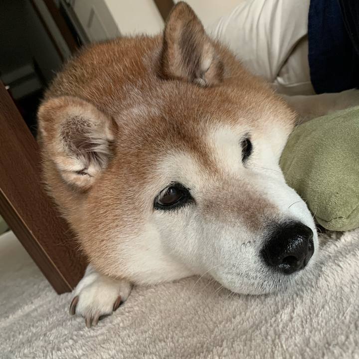 C7bc6021 6263 406b a0f7 7312e6352169 1588295394828