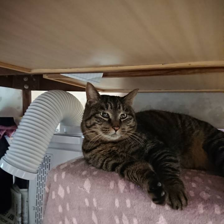 C7bc7d06 62d4 47b9 a7cc 29c950ea0d64 1643675803125