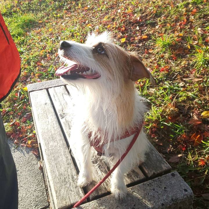 C7bc7eba 5715 444f b55f a238c615e98f 1637623953275