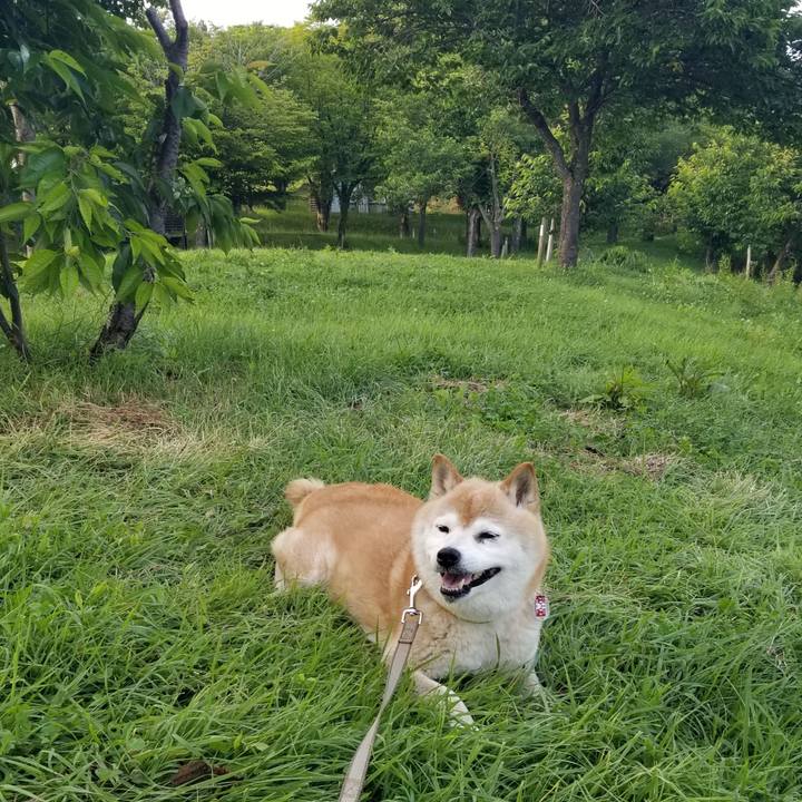 C7bc80e5 ab4c 4b0c 8574 8b407af7e54f 1688027145972