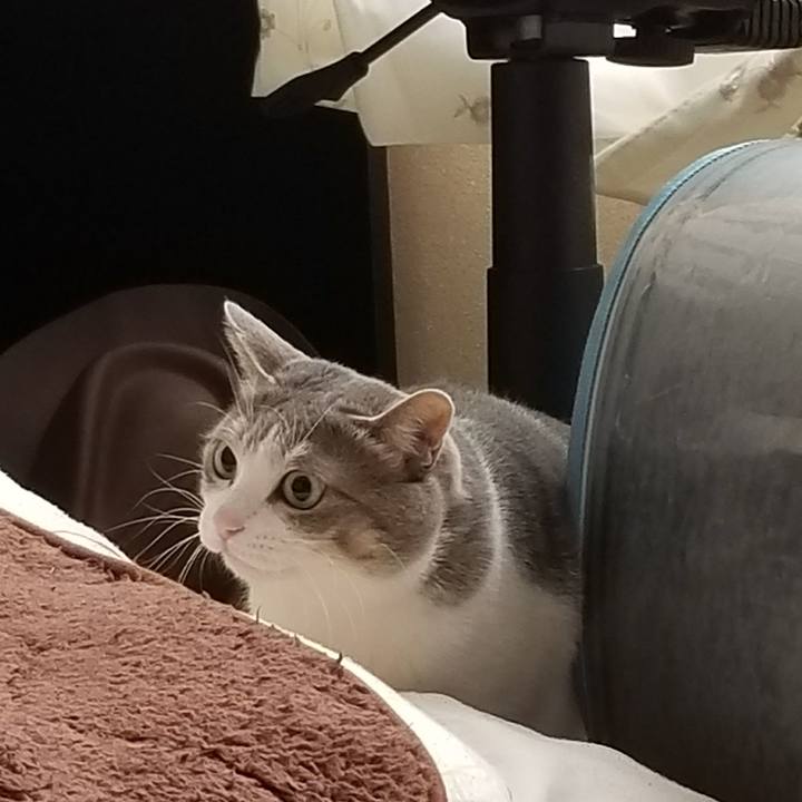 C7bc8311 4bcb 4627 9aa8 bd74e342dece 1520054054198