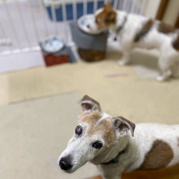 C7bc8b36 d811 419d 95d8 5ba231eccb52 1669675396268