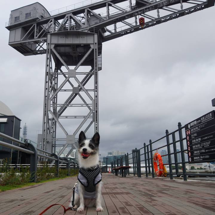 C7bc9e55 4d84 44bf 9c0e 1ad3c4eeff0e 1599473200586