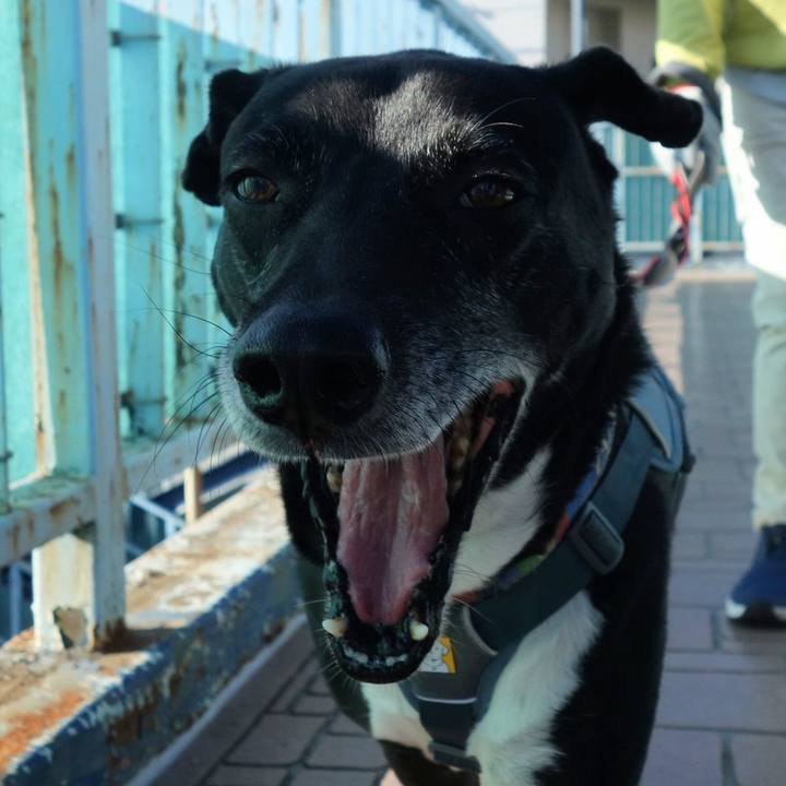 C7bccbcb 8b8d 4a4d 83eb c655d25f4781 1710290804739