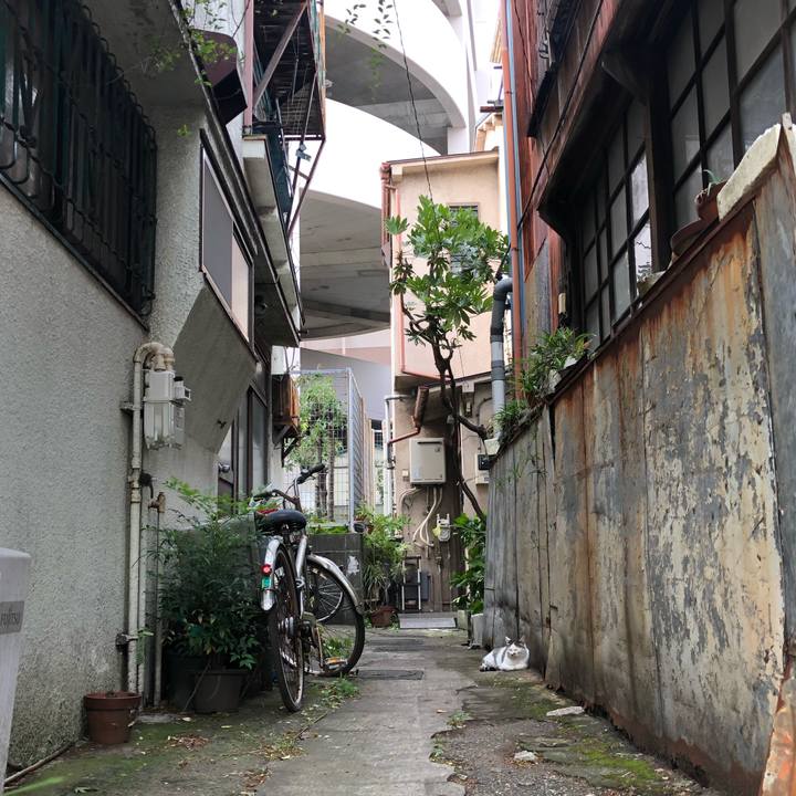 C7bd1931 d546 46f3 a7e5 baee85551ded 1566717912145