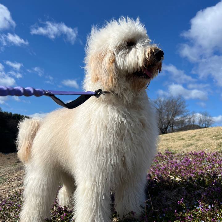 C7bd46db 278c 40ee 8acc 4f73f437751c 1743803407094