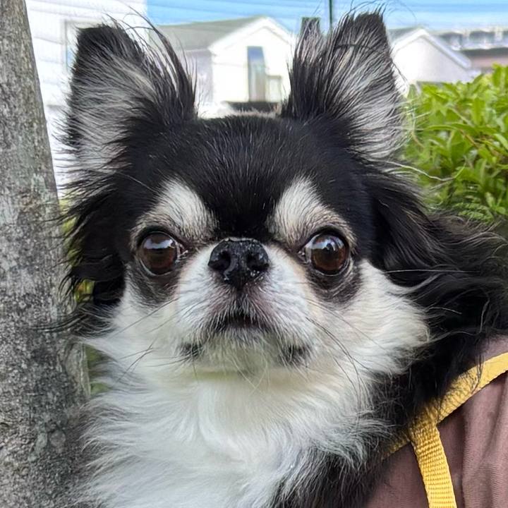 C7bd4b4e e0ae 406c a031 311f61e3c0b8 1746920398174