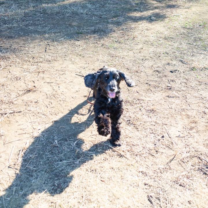 C7bd51e1 b1f1 4146 b033 ac25e842690b 1578147273794