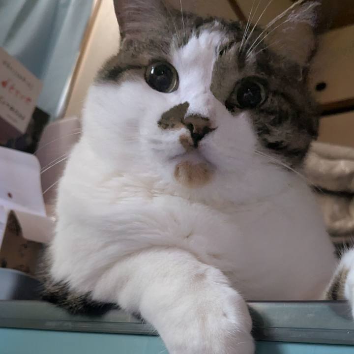 C7bda293 9c17 4517 bb92 25ad286101a4 1753568009516