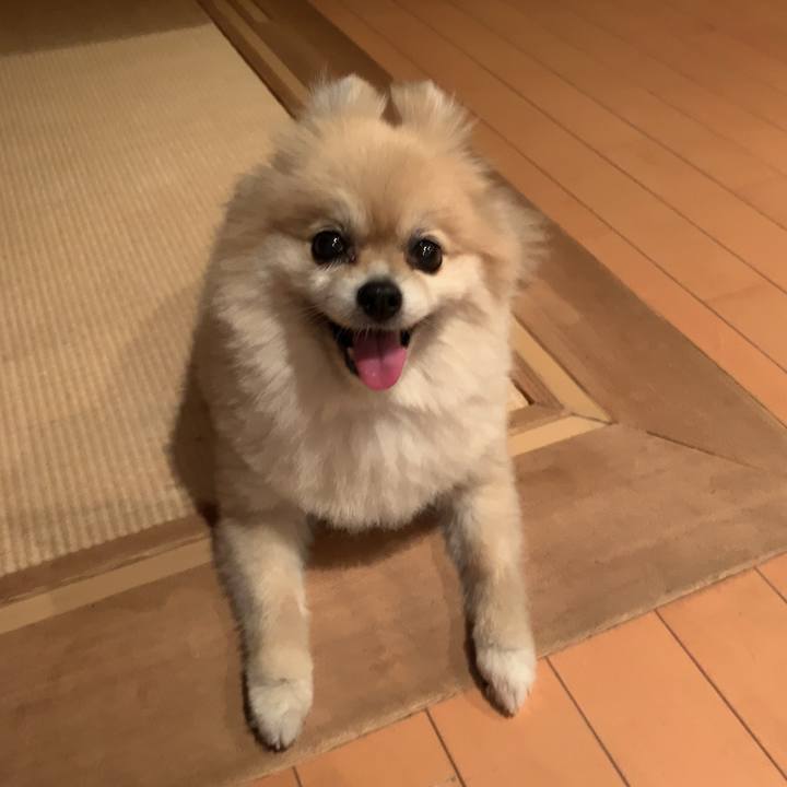 C7bda632 ea54 4466 a4b8 f17599fd7904 1626299893919