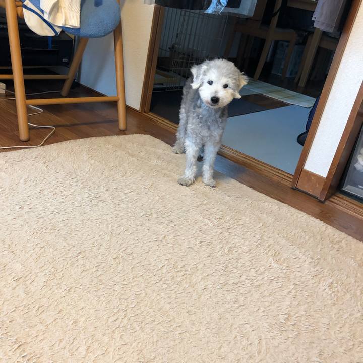 C7bdd957 b095 4be2 87b1 042c24d36daa 1662543940599