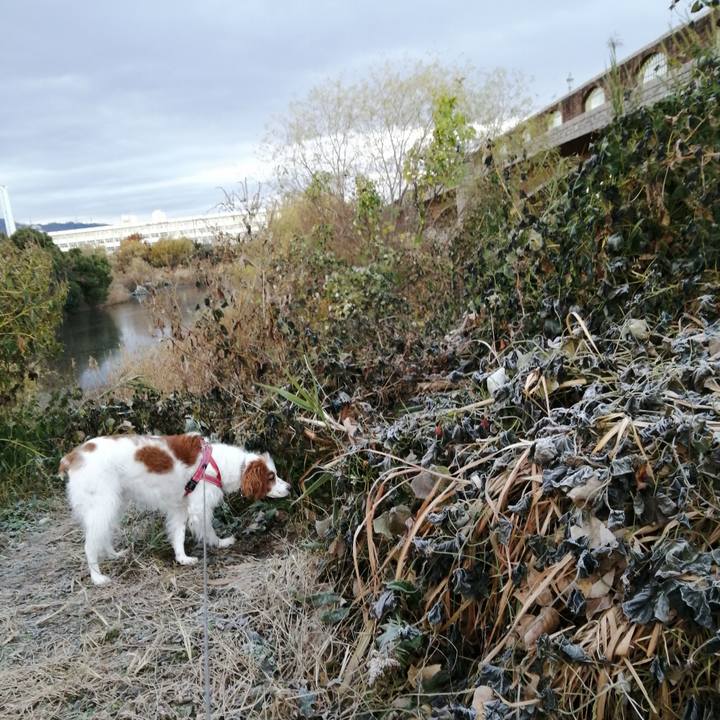 C7bdeb50 7e1d 4d0d ad64 5b0d60dde7a2 1608423464968