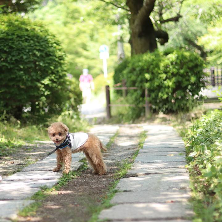 C7be2701 eef8 4aa1 8f53 824f5a54fa45 1665151527243