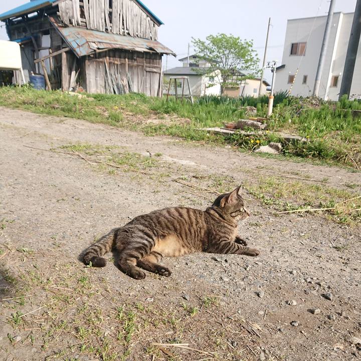 C7be3dbc 1e58 45e8 9d56 2600a7a178e6 1652339257255