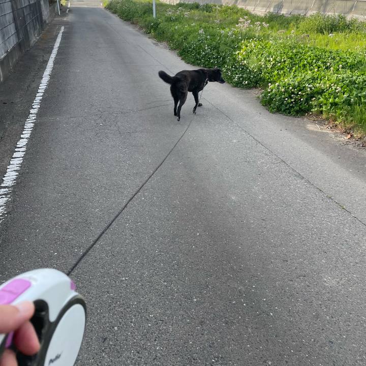 C7be5d1b 97be 4f81 8c6d d05d0edc4b6a 1682235434138