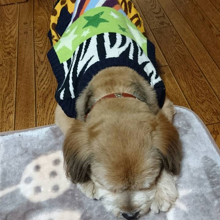 C7be87e5 838a 4604 8a3e 0fcede5943c5 1517477553244