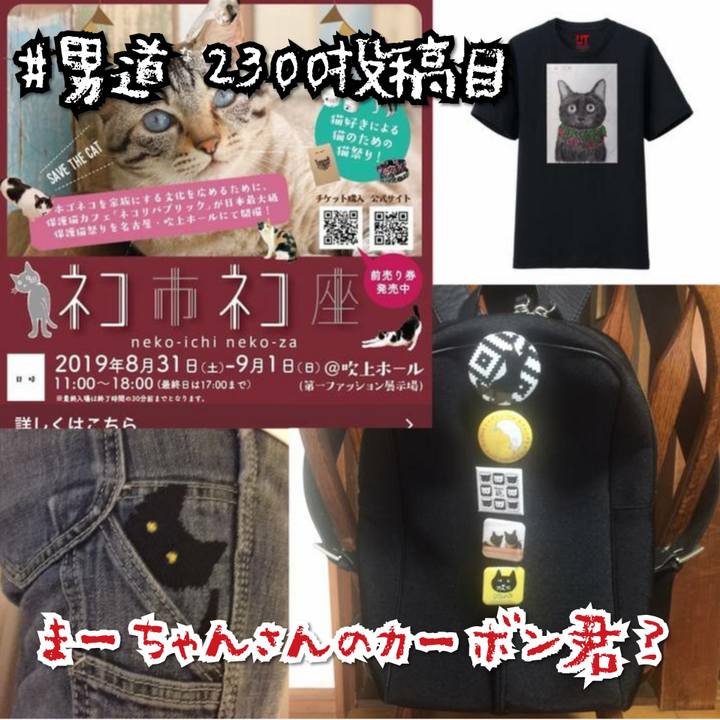 C7be903b b8f0 4c0d aac3 404de3e8d0c6 1567135206286