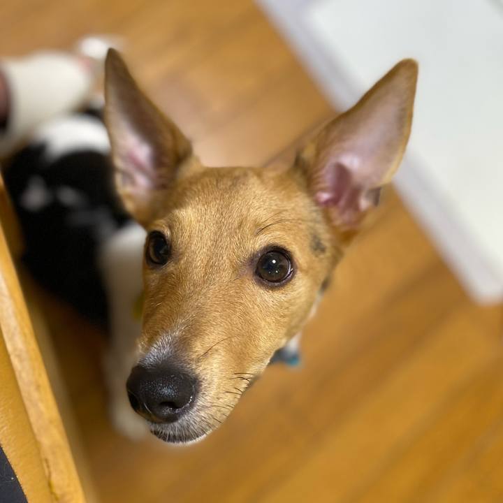 C7be9af4 7223 4750 87db cac0036684d6 1757223485317