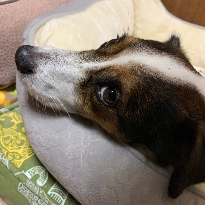 C7becaf3 bb8e 48d1 9b48 a48aaddfe283 1576405838013