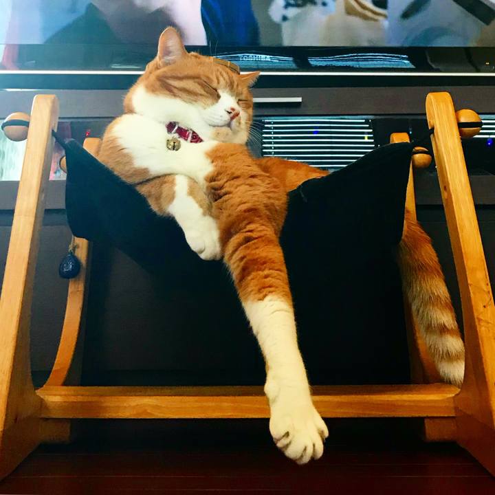 C7bed669 567c 4a6b 9545 419addfdba83 1518949942877