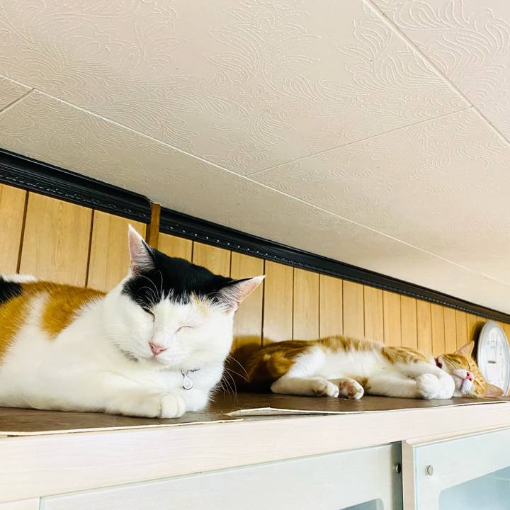 C7bf01c0 eee0 47a6 a3d1 0ab2644f26b5 1691409936349