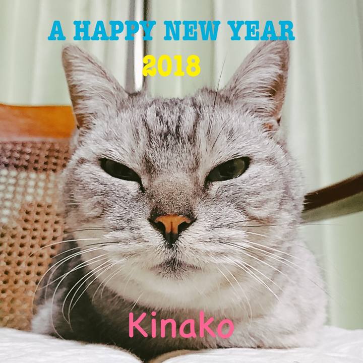 C7bf150a 8721 411e 92d9 6e370f7c6941 1515216523110