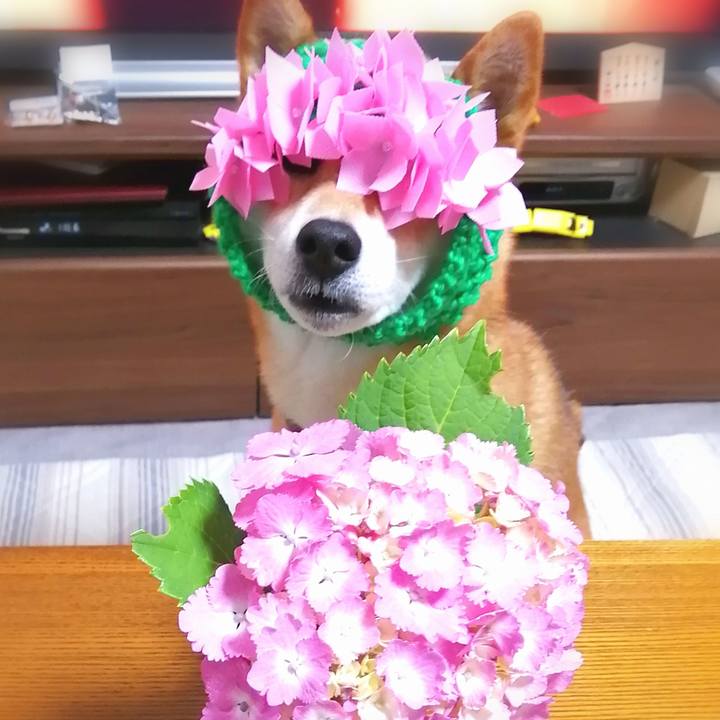 C7bf41da bd52 4bdf 998c a4c2e5ab324b 1655199454299