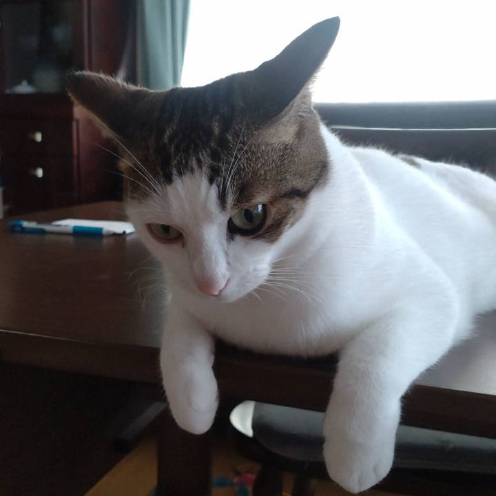 C7bf73c0 6c00 4717 872a fd3d1e9d16fc 1757830225787