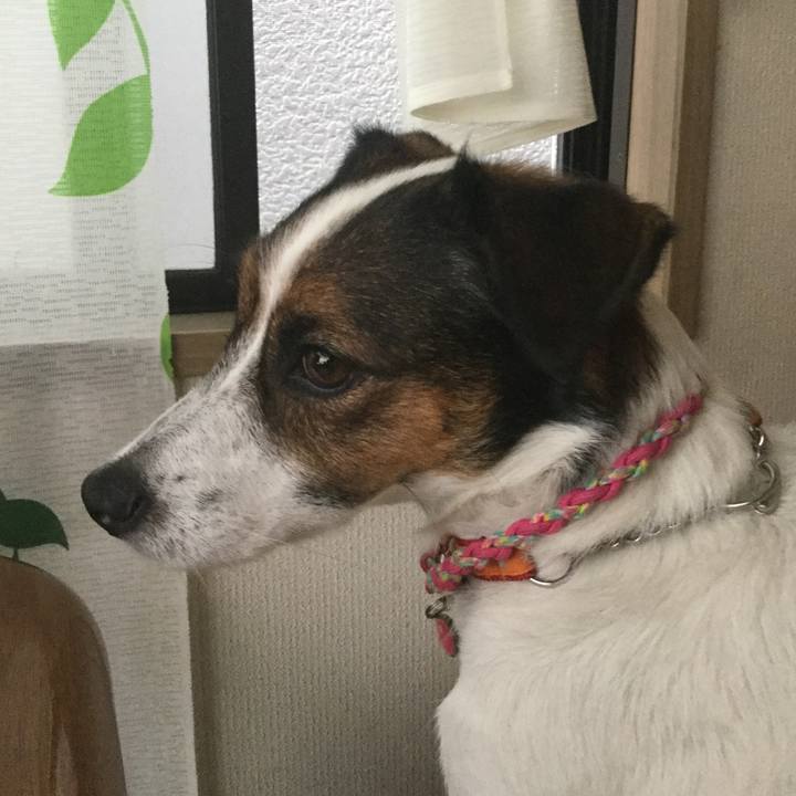 C7bf833b eb3a 4009 a5a4 2b00f2f02324 1538964905580