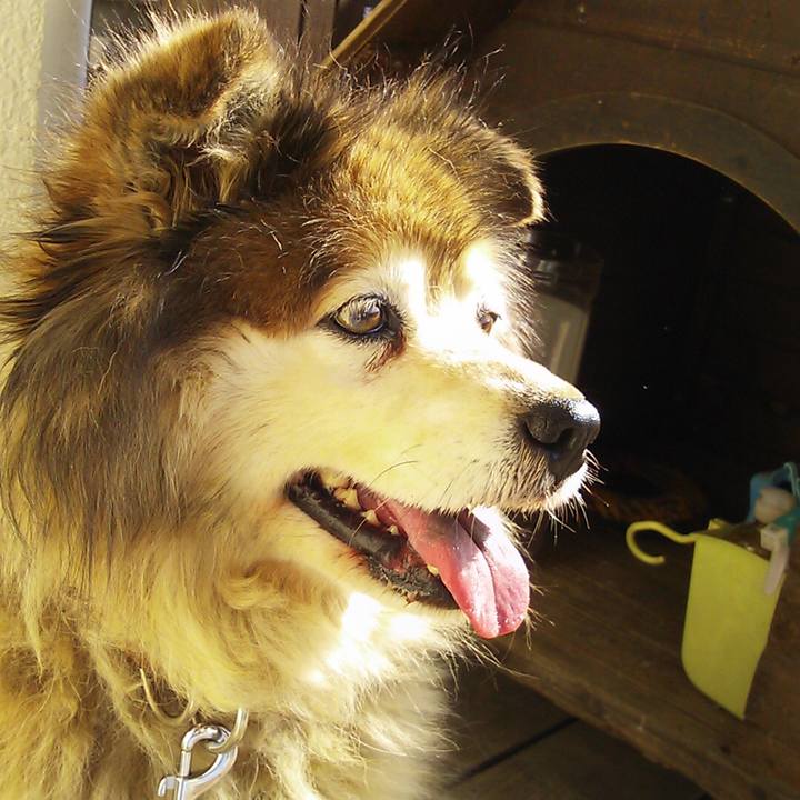 C7bf8c52 8e45 4732 8b67 030940173393 1548239425338