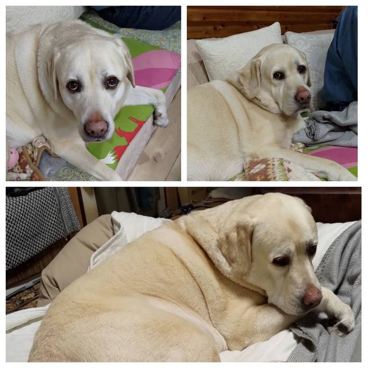 C7bfcfd4 59cf 45af a86e 13baf15b0274 1708532165759