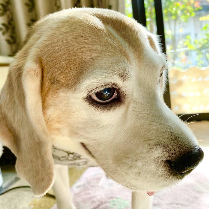 C7bff416 4c1b 45aa a03b 1d45b5fafb3c 1604809094117