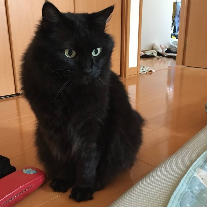 C7c00e78 10e7 4fd3 8908 132a52fc78f6 1558154497665