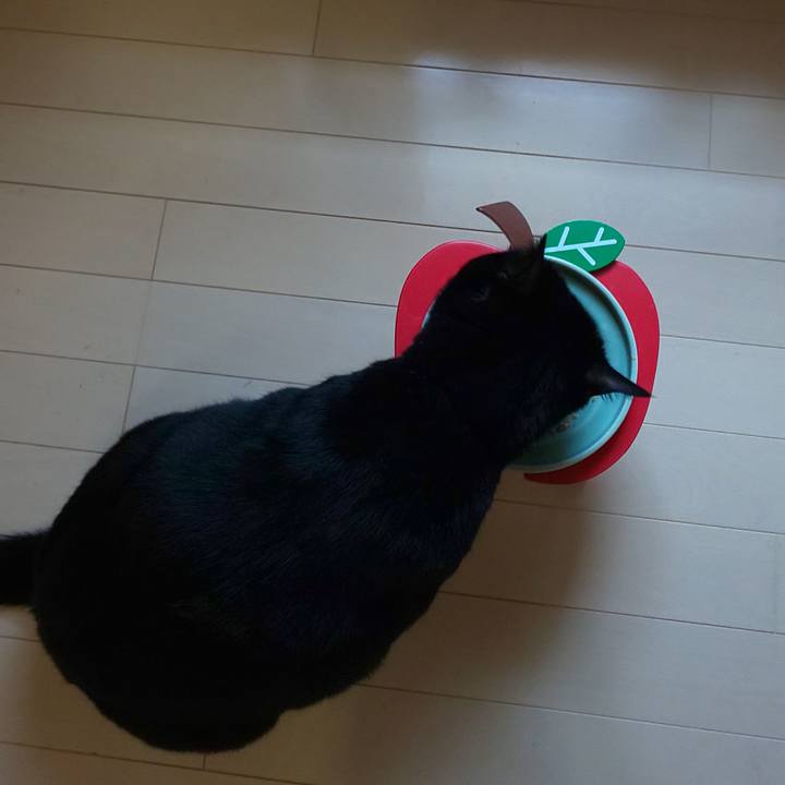 C7c0514a 84b2 44e2 bfbd 3fed894b634e 1651541109749